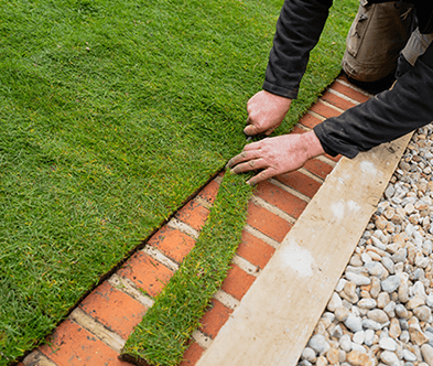 Sod Installation/ Grading